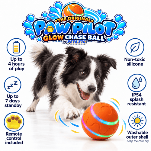 PawPilot Glow Chase Ball