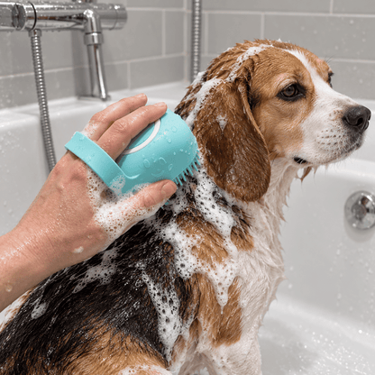 Wag & Scrub